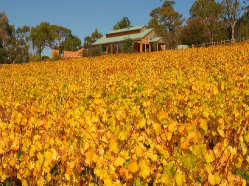 Cambridge TAS 7170