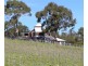 Cambridge TAS 7170