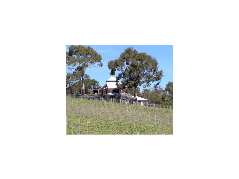 Cambridge TAS 7170