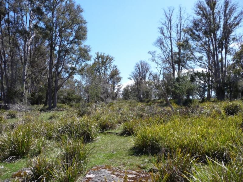 Westbury TAS 7303