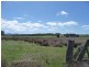 Westbury TAS 7303