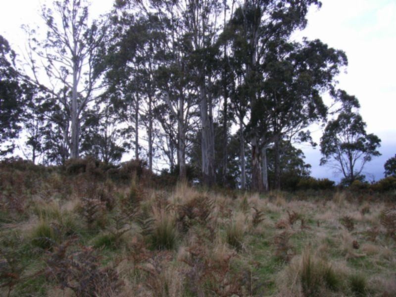 947 Sawpit Hill Road, Blessington TAS 7212