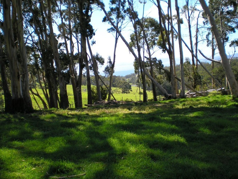 336 Mud Walls Road, Colebrook TAS 7027