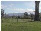 247 Bishopsbourne Road, Carrick TAS 7291