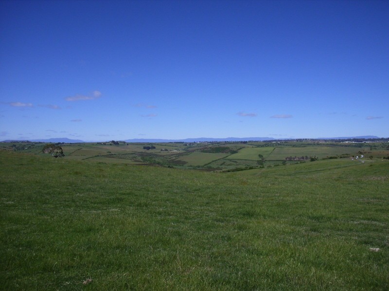 White Hills TAS 7258