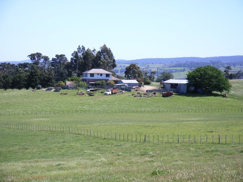 White Hills TAS 7258