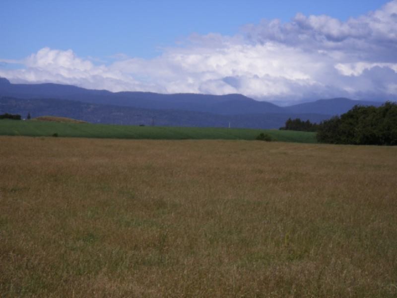 Breadalbane TAS 7258