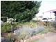 Breadalbane TAS 7258