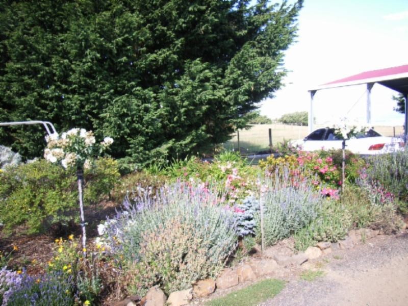 Breadalbane TAS 7258