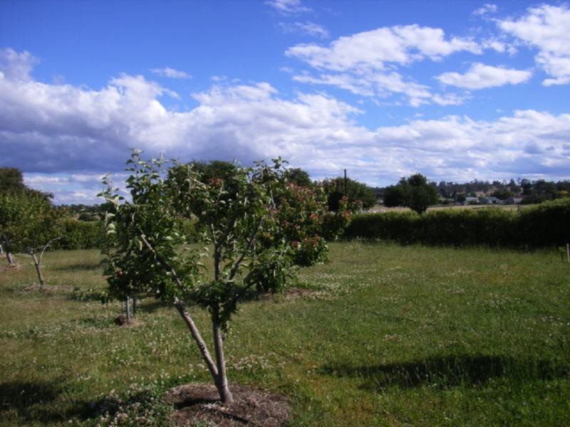 Breadalbane TAS 7258