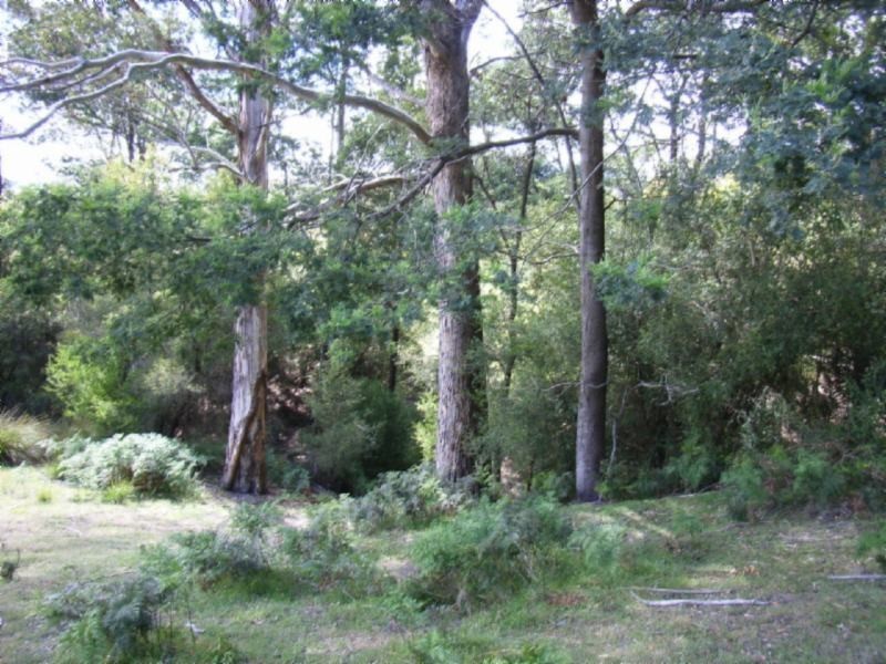 127 Waddles Road, Karoola TAS 7267