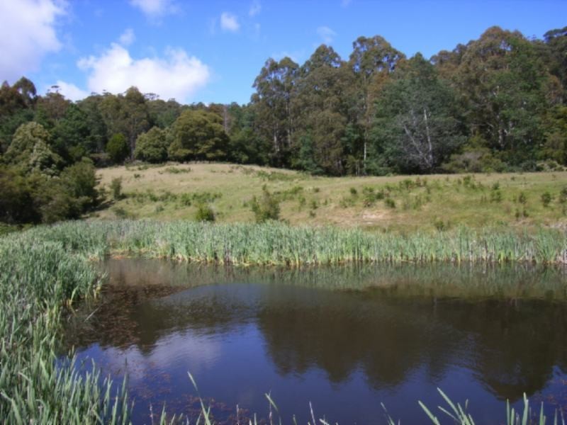 127 Waddles Road, Karoola TAS 7267