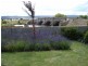 Lot 2, 2 Bridge Street, Ross TAS 7209