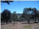 Lot 3 Elizabeth Street, Deddington TAS 7212