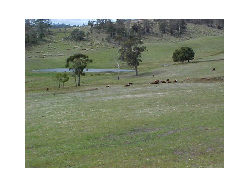1974 Arthur Highway, Copping TAS 7174