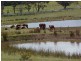 1974 Arthur Highway, Copping TAS 7174