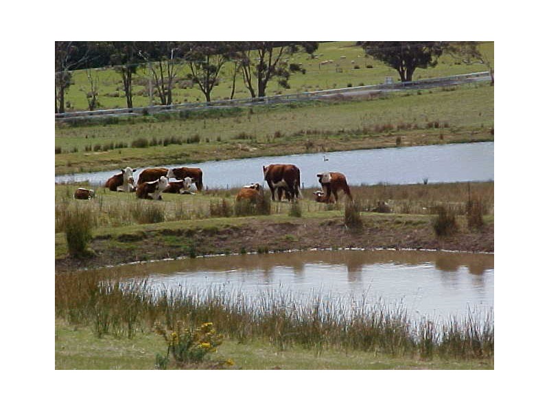 1974 Arthur Highway, Copping TAS 7174