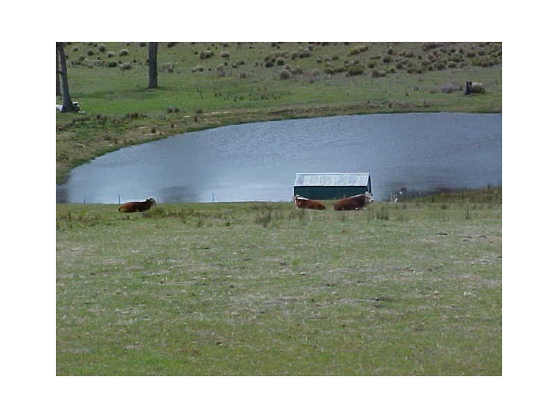 1974 Arthur Highway, Copping TAS 7174