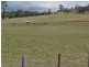 1974 Arthur Highway, Copping TAS 7174
