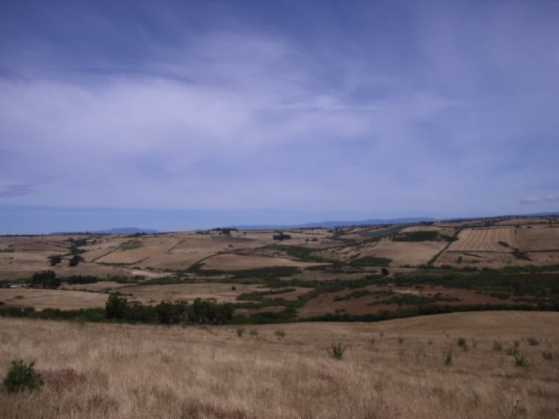 225 White Hills Road, White Hills TAS 7258