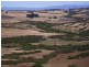 225 White Hills Road, White Hills TAS 7258