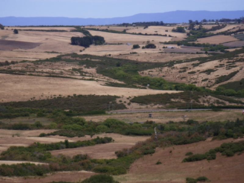 225 White Hills Road, White Hills TAS 7258
