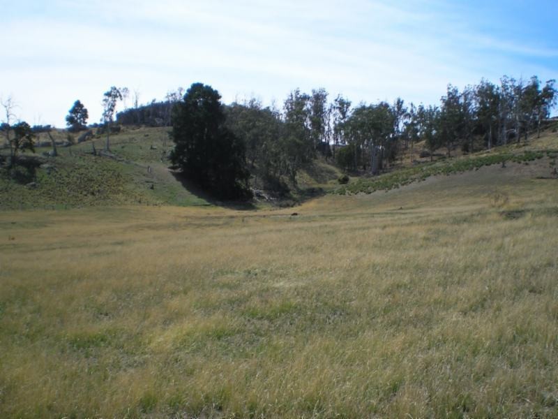 York Plains TAS 7120
