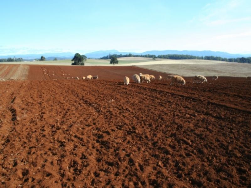 Wesley Vale TAS 7307