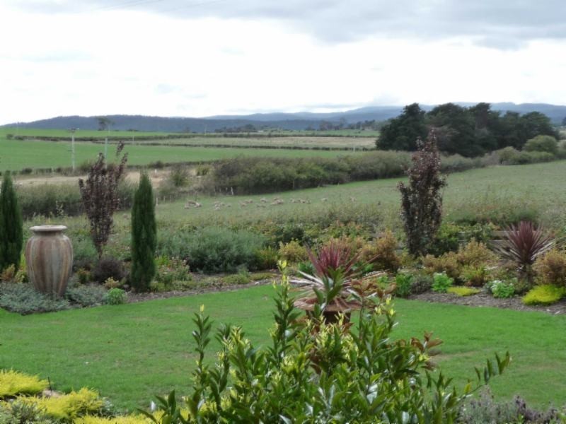 White Hills TAS 7258