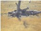 York Plains TAS 7120