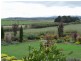 White Hills TAS 7258