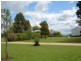 White Hills TAS 7258