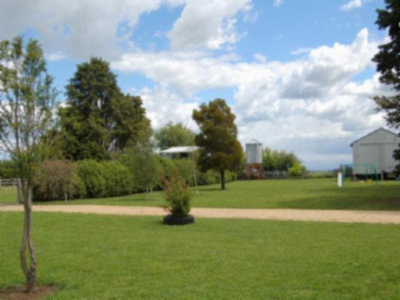 White Hills TAS 7258