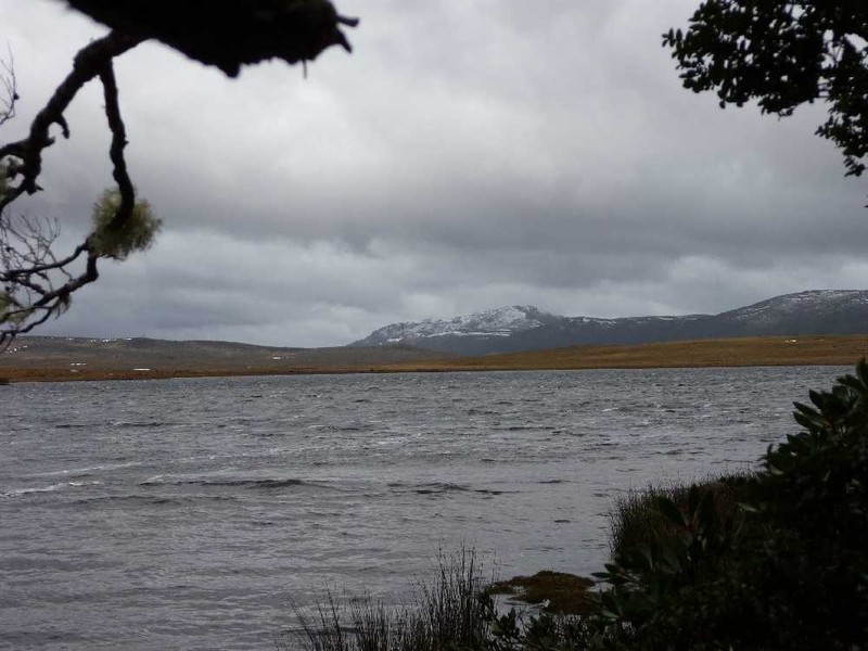 Cradle Mountain TAS 7306