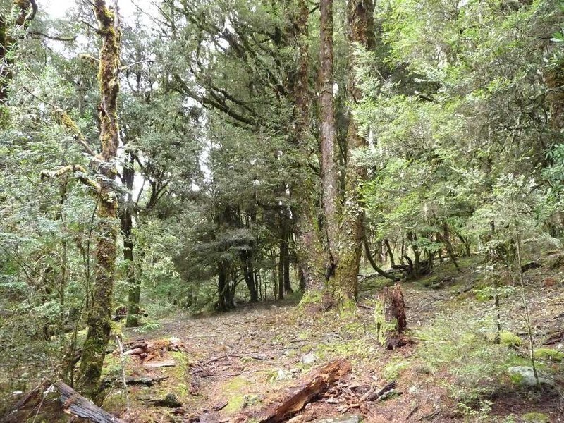 Cradle Mountain TAS 7306
