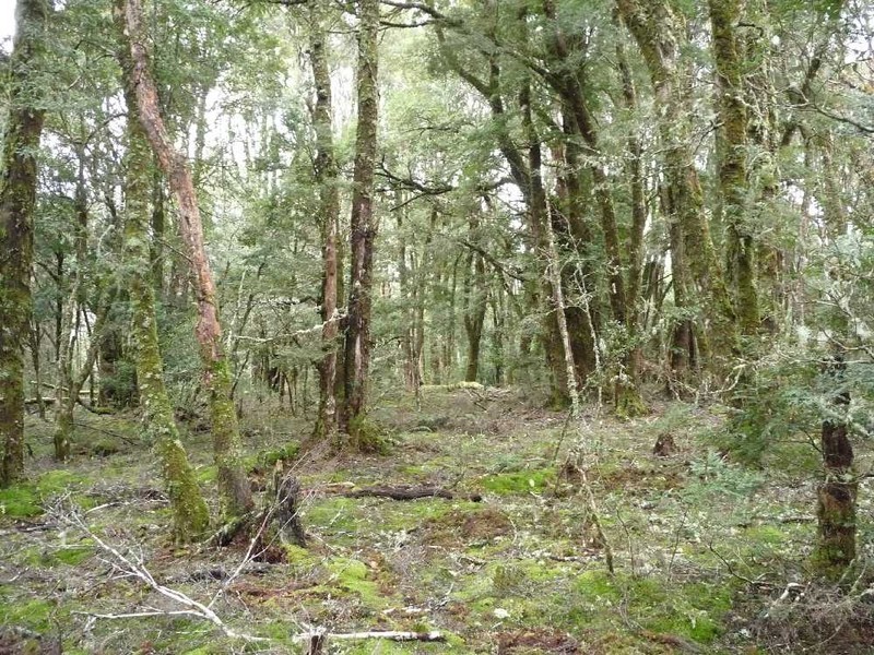 Cradle Mountain TAS 7306