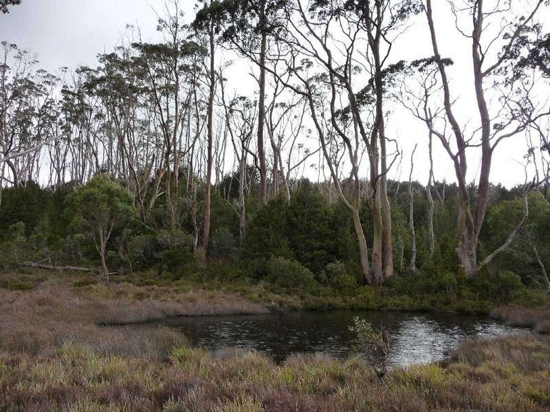 Cradle Mountain TAS 7306