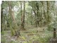 Cradle Mountain TAS 7306