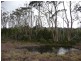 Cradle Mountain TAS 7306