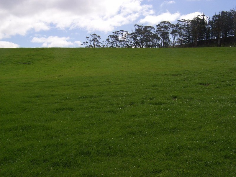 715 Saltwater River Road, Saltwater River TAS 7186