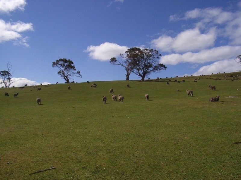 715 Saltwater River Road, Saltwater River TAS 7186
