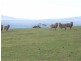 715 Saltwater River Road, Saltwater River TAS 7186