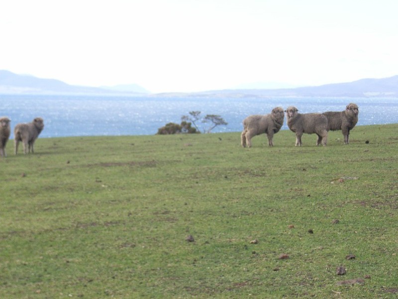 715 Saltwater River Road, Saltwater River TAS 7186