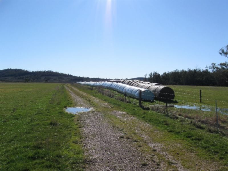 Shaws Road, Parkham TAS 7304