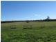 Shaws Road, Parkham TAS 7304