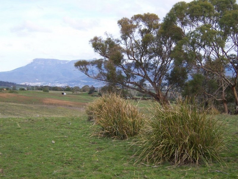 * Oak Farm, 500 Baskerville Road, Old Beach TAS 7017