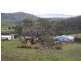 * Oak Farm, 500 Baskerville Road, Old Beach TAS 7017