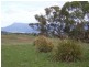 *** Oak Farm, 500 Baskerville Road, Old Beach TAS 7017