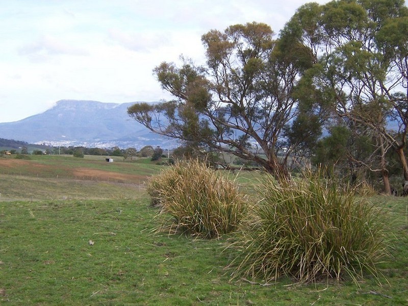 **** Oak Farm, 500 Baskerville Road, Old Beach TAS 7017