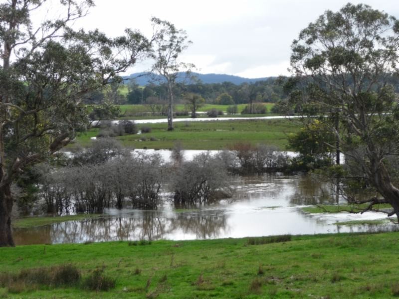 530 Black Lane, Quamby Bend, Hagley TAS 7292